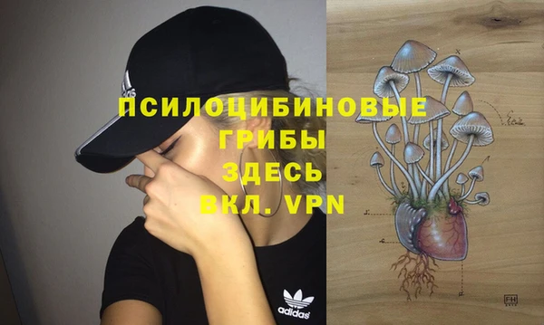 герыч Арсеньев