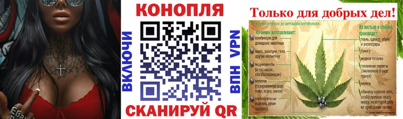 Каннабис OG Kush  Купить  Хилок 